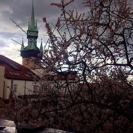 Althansky Palac Znojmo Luaran gambar